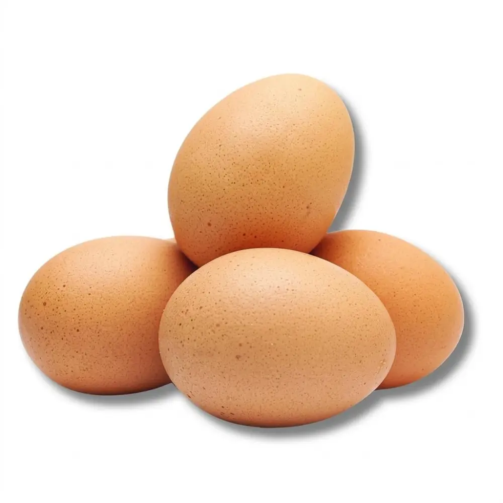 Egg 12 pcs