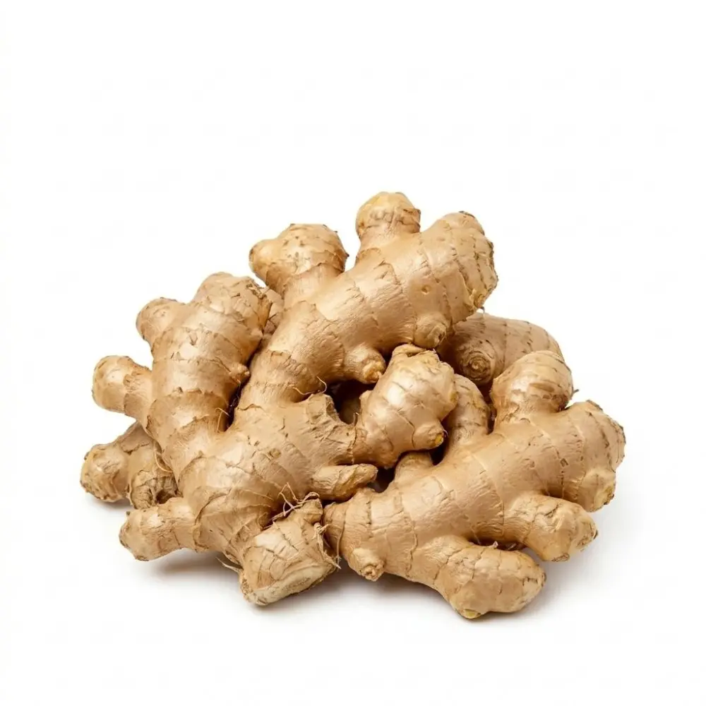 Ginger (Ada)