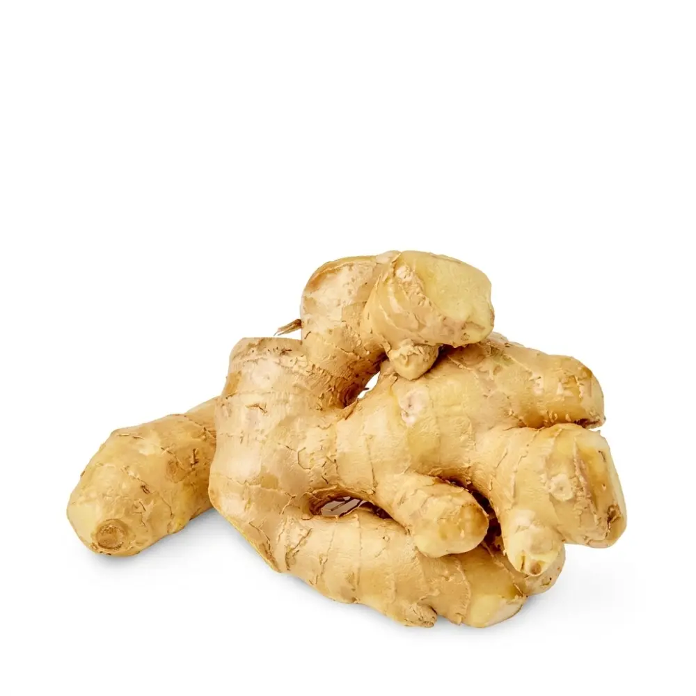 Ginger Imported (Ada)