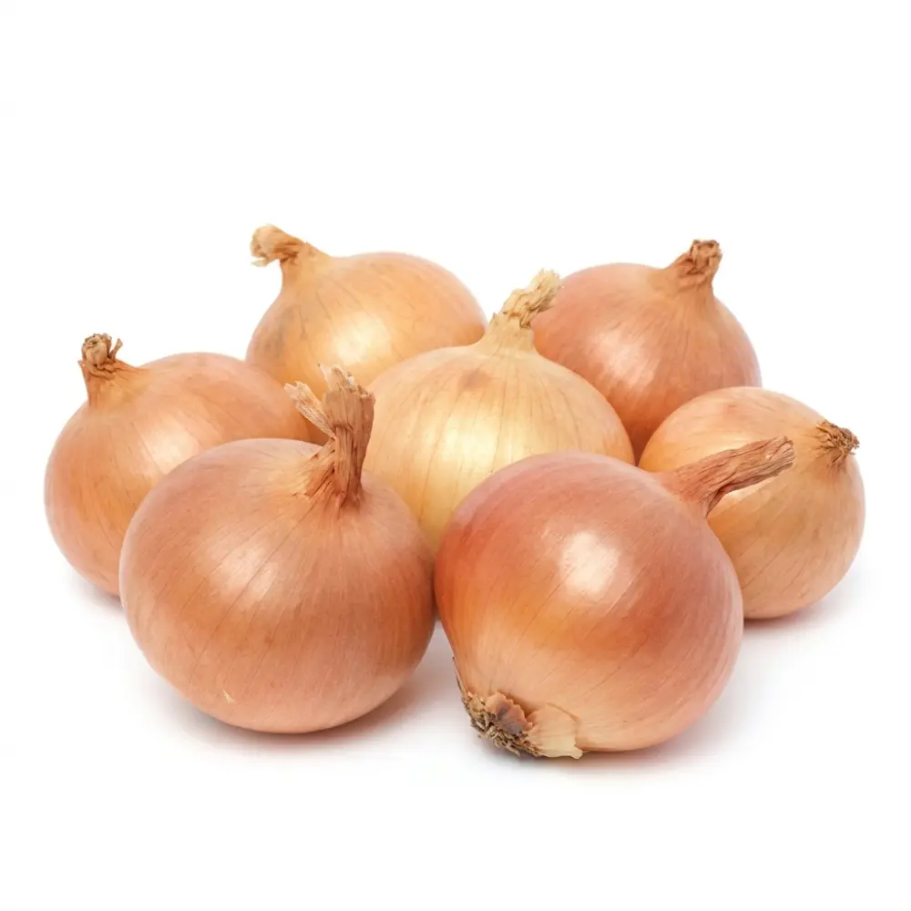 Onion (Piyaj)